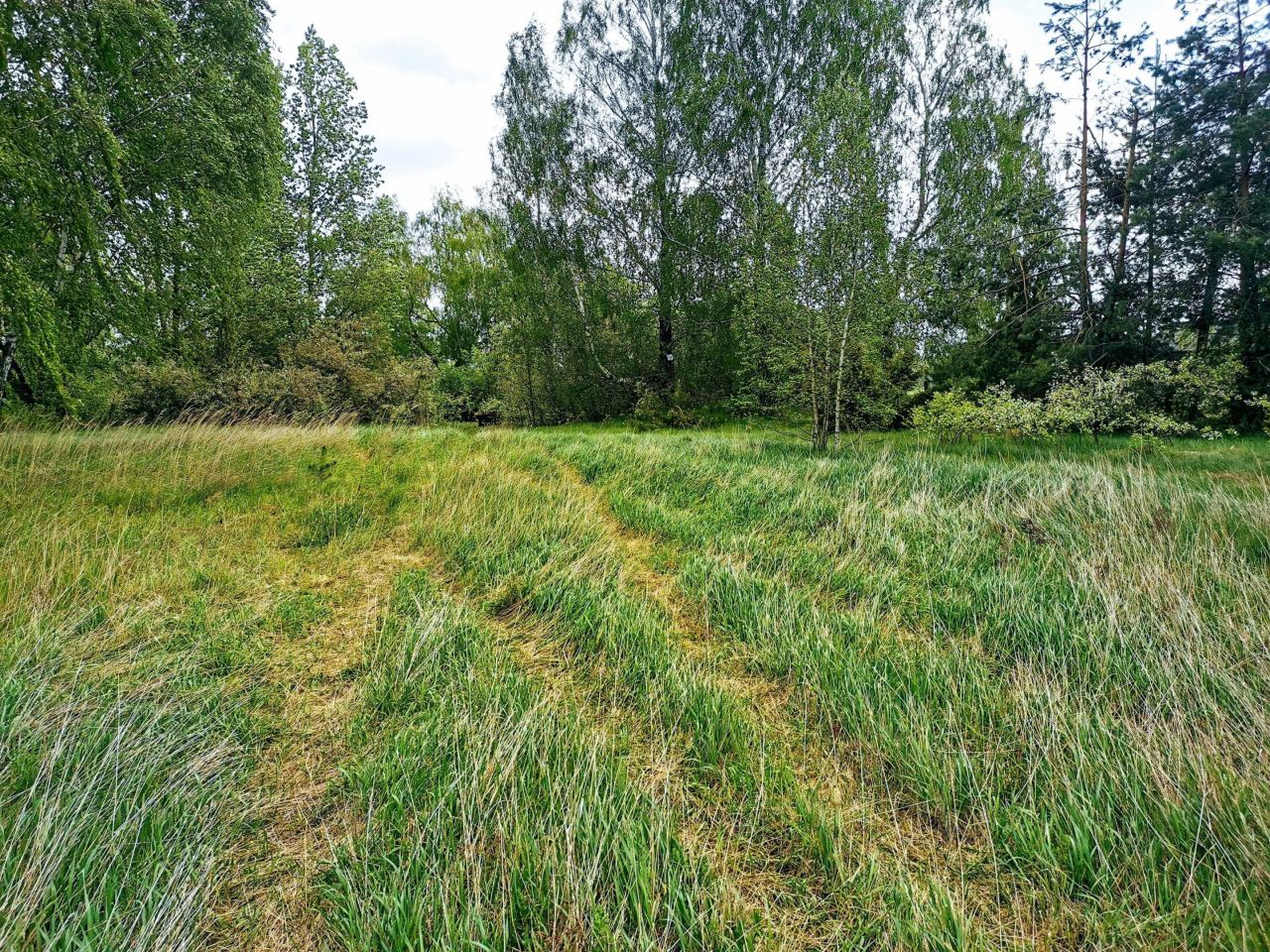 Działka budowlana Nowe Okniny. Zdjęcie 4