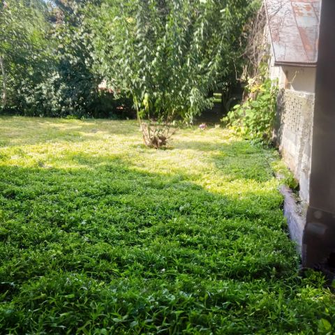 dom wolnostojący, 5 pokoi Wrocław Ołtaszyn, ul. Storczykowa. Zdjęcie 15