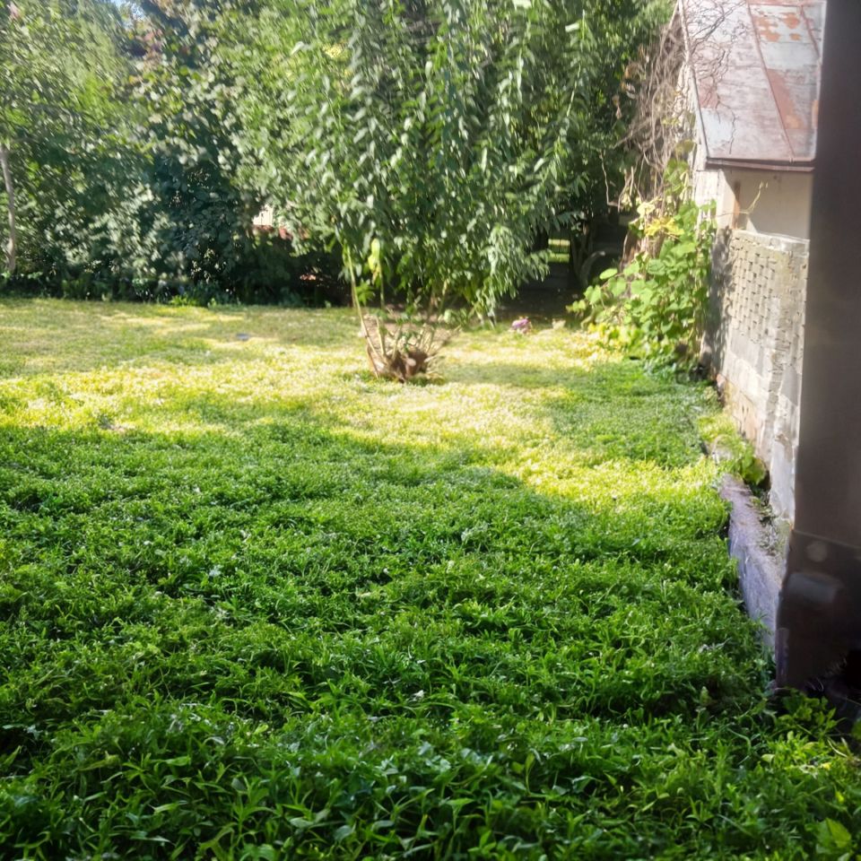 dom wolnostojący, 5 pokoi Wrocław Ołtaszyn, ul. Storczykowa. Zdjęcie 15