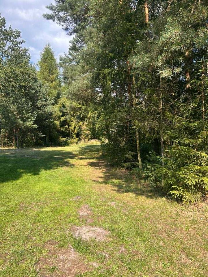 Działka siedliskowa Świątki. Zdjęcie 6