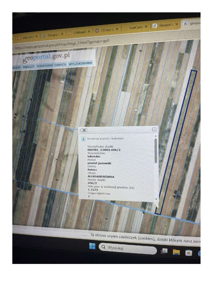 Działka rolna Aleksandrówka. Zdjęcie 1