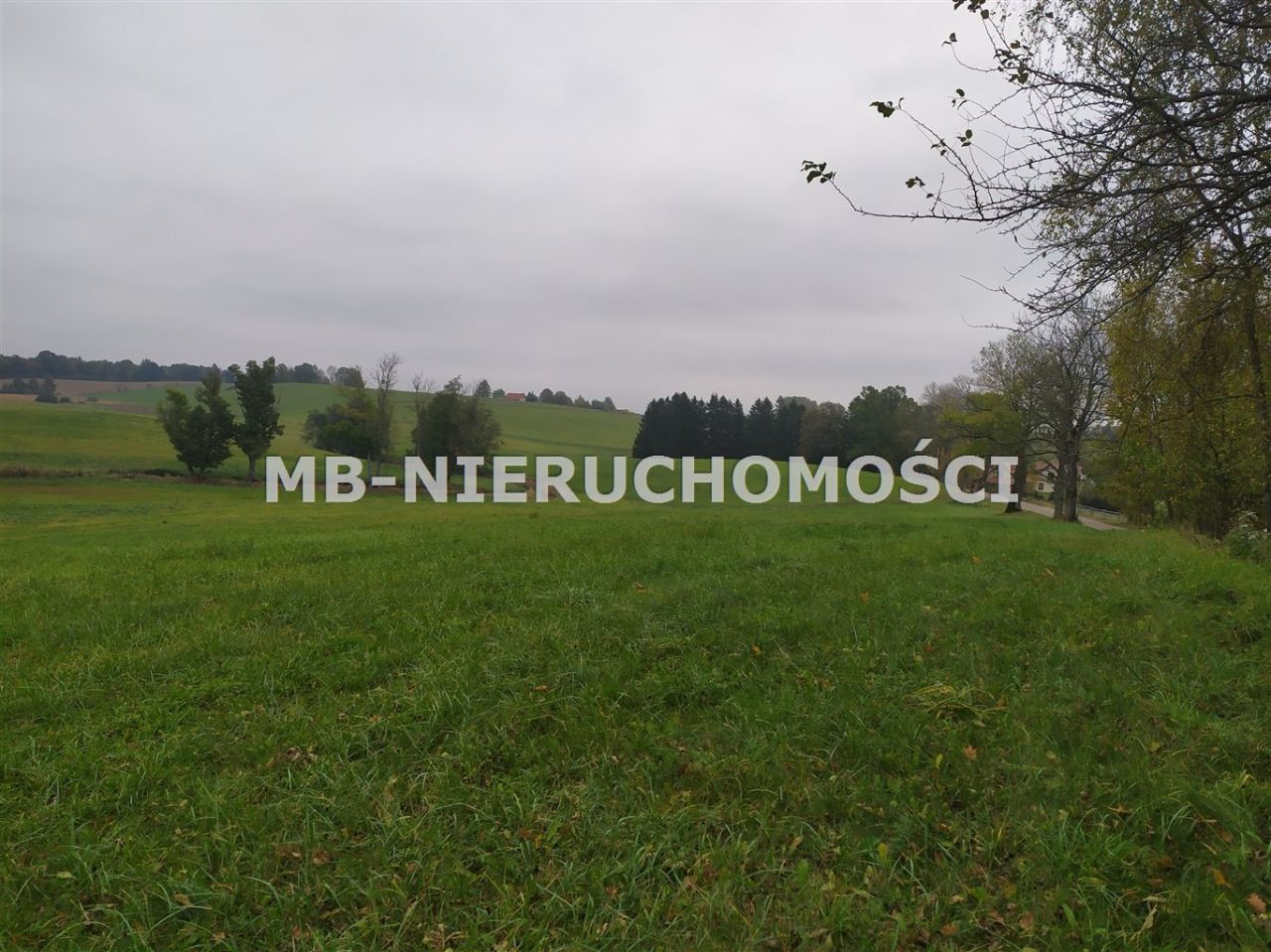 Działka rolna Sorkwity. Zdjęcie 11