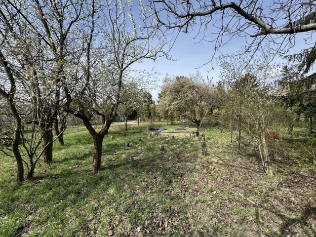 Działka rod Warszawa Wilanów. Zdjęcie 1