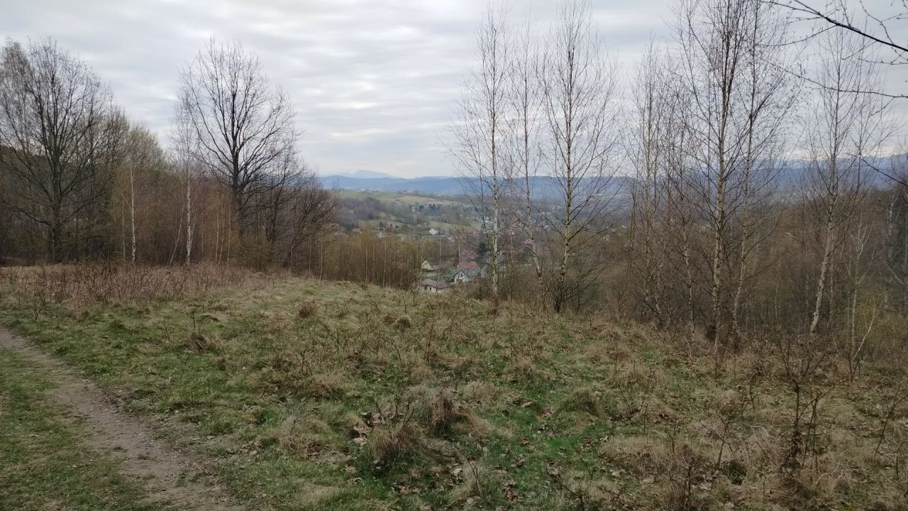 Działka rolno-budowlana Kocierz Moszczanicki, ul. Gronikowa. Zdjęcie 5