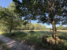 Działka rolno-budowlana Jabłoniec. Zdjęcie 2