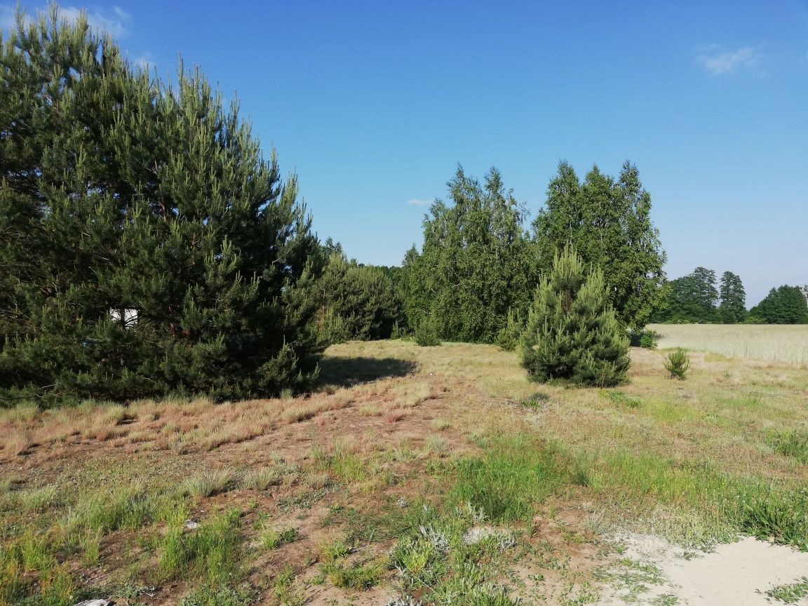 Działka inwestycyjna Słomków. Zdjęcie 2