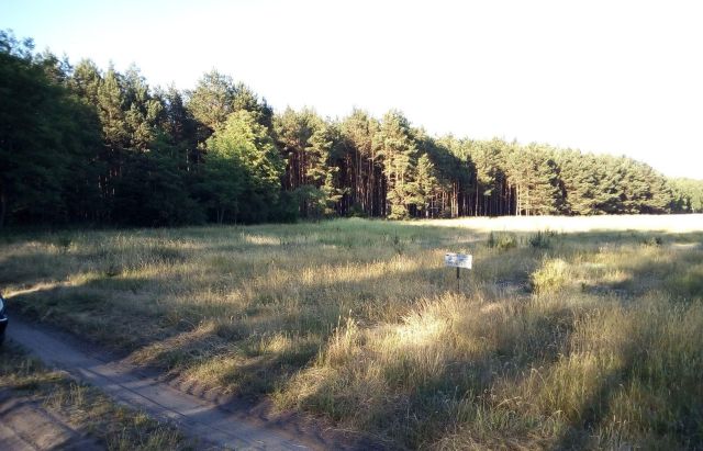 Działka budowlana Wielki Sosnowiec. Zdjęcie 1