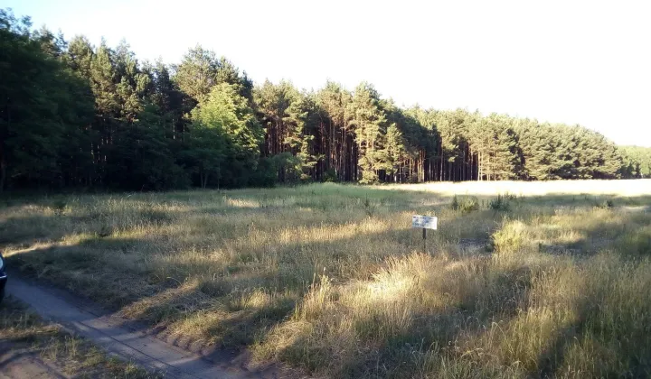 Działka budowlana Wielki Sosnowiec