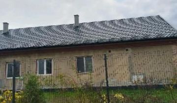 bliźniak Witkowo Pierwsze