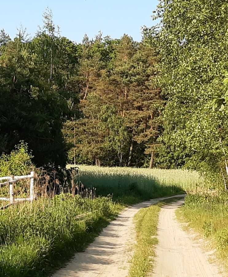 Działka budowlana Wilamy. Zdjęcie 6