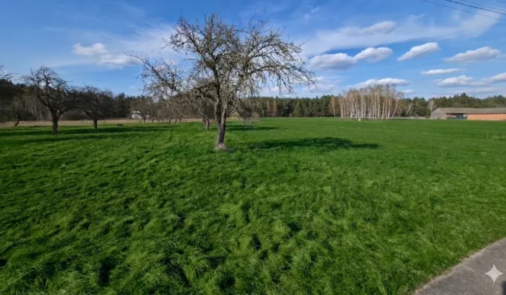 Działka budowlana Jeziorno