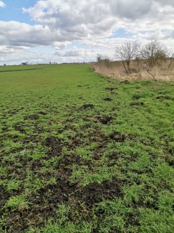 Działka rolna Będargowo. Zdjęcie 6