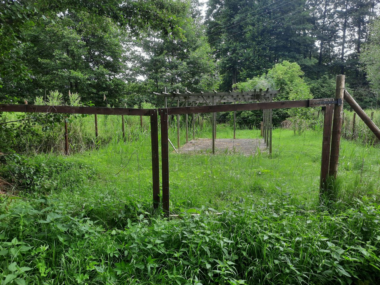 Działka rekreacyjna Minikowo. Zdjęcie 26