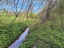 Działka rekreacyjna Sławutowo, ul. Szkolna. Zdjęcie 4