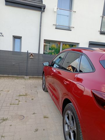 bliźniak, 5 pokoi Łozina, ul. Milicka. Zdjęcie 1