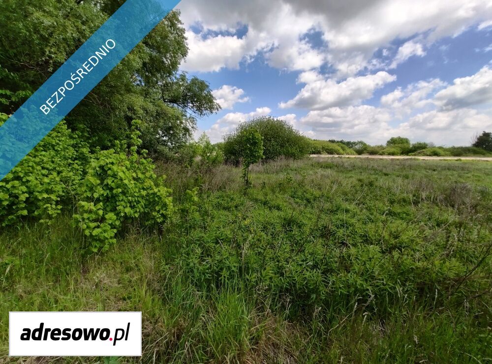 Działka budowlana Linów. Zdjęcie 9