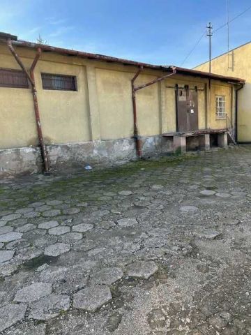 Działka inwestycyjna Radziejów, ul. Rolnicza. Zdjęcie 1