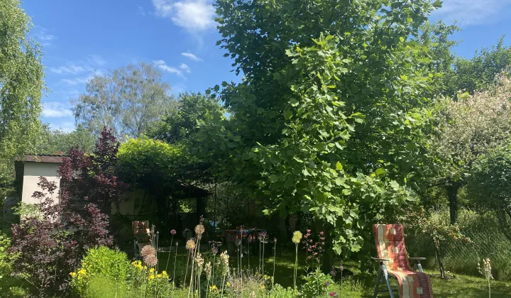 Działka rod Otwock Teklin, ul. Grunwaldzka