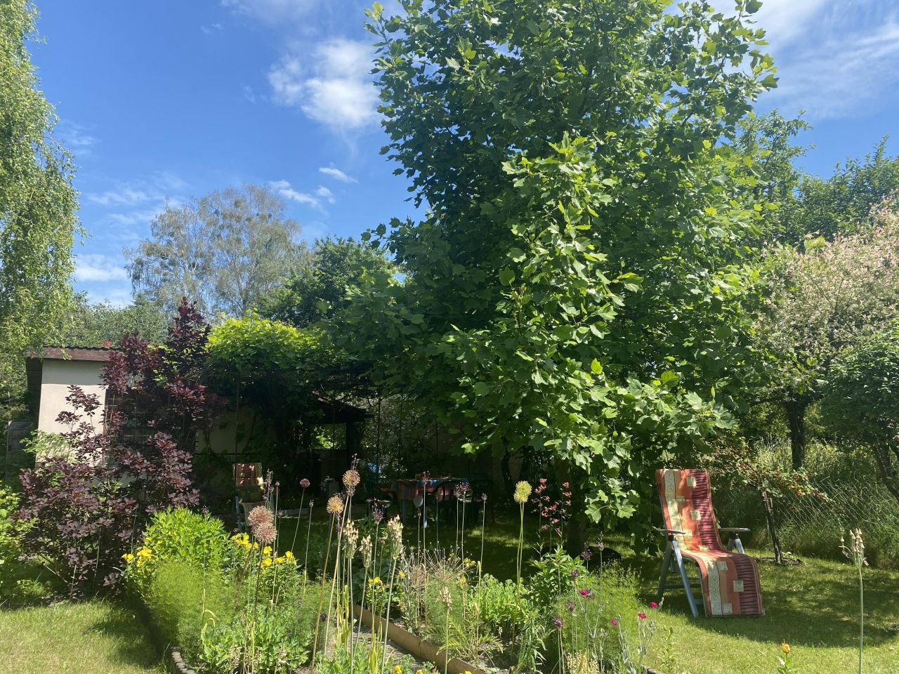 Działka rod Otwock Teklin, ul. Grunwaldzka. Zdjęcie 1