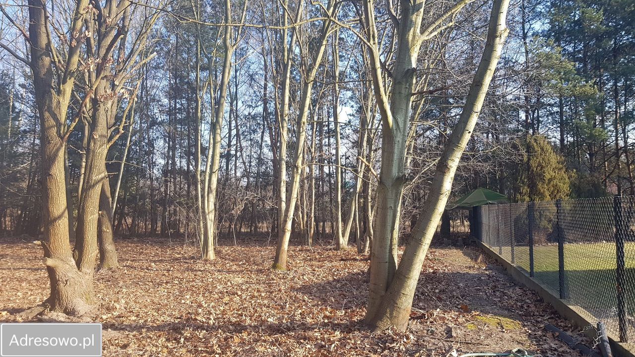 Działka rekreacyjna Głosków, ul. Millenium. Zdjęcie 5