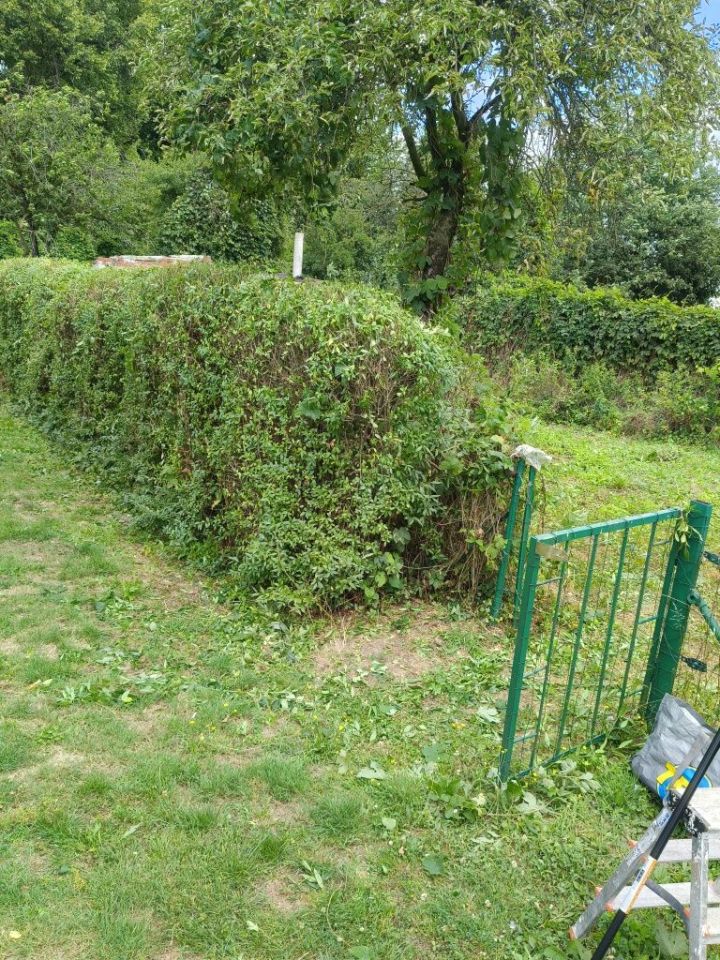 Działka rod Legnica, ul. Jaworzyńska. Zdjęcie 2