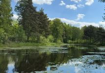 Działka budowlana Janinów, ul. Kolumbijska. Zdjęcie 4