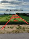 Działka budowlana Gąsawa, ul. Trzemeszeńska