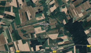 siedlisko, 7 pokoi Mieszołki