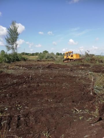 Działka rekreacyjna Czułczyce Małe. Zdjęcie 1