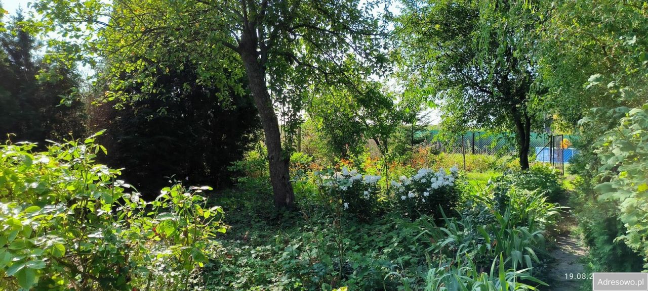 Działka rod Gliwice Wójtowa Wieś, ul. Ku Dołom. Zdjęcie 7