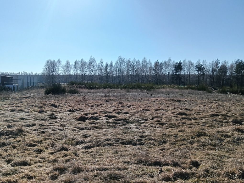 Działka budowlana Wierzbica. Zdjęcie 1