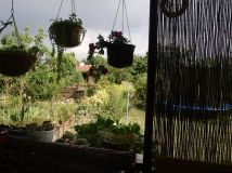 Działka rod Częstochowa Północ. Zdjęcie 4