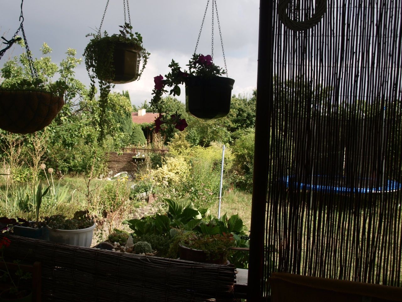 Działka rod Częstochowa Północ. Zdjęcie 5