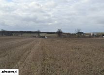 Działka inwestycyjna Lipnik. Zdjęcie 4