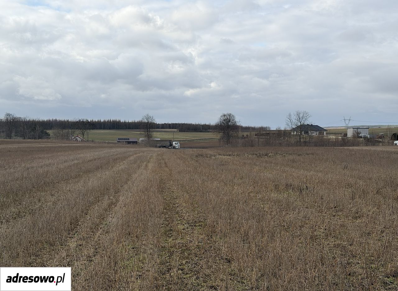 Działka inwestycyjna Lipnik. Zdjęcie 5