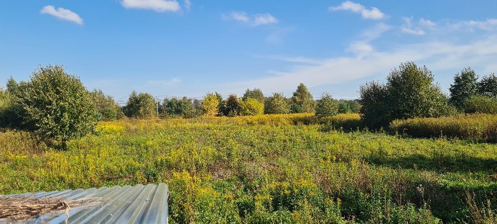 Działka budowlana Gołaszyn. Zdjęcie 4