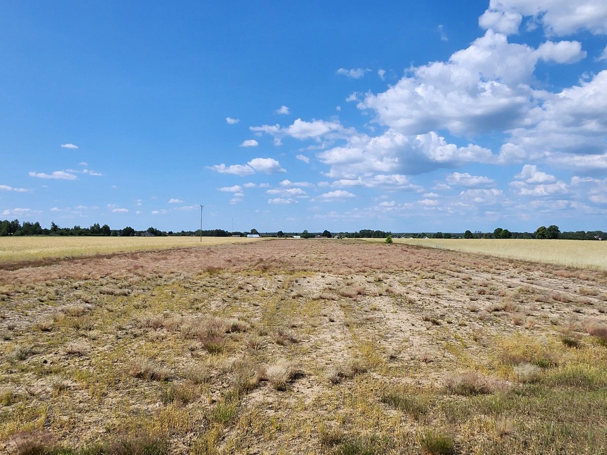 Działka rolna Joniec-Kolonia. Zdjęcie 8