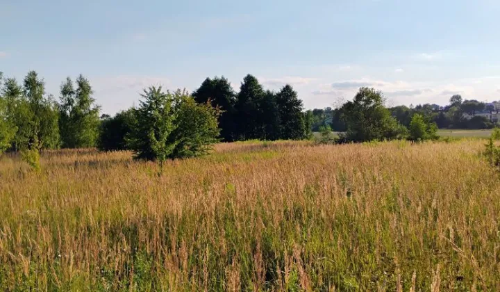 Działka budowlana Myszków, ul. Nierada