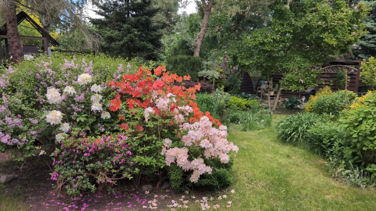 dom wolnostojący, 12 pokoi Radwanice, ul. Konstantego Ildefonsa Gałczyńskiego. Zdjęcie 43