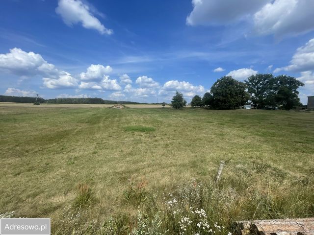 Działka budowlana Chełmsko. Zdjęcie 1