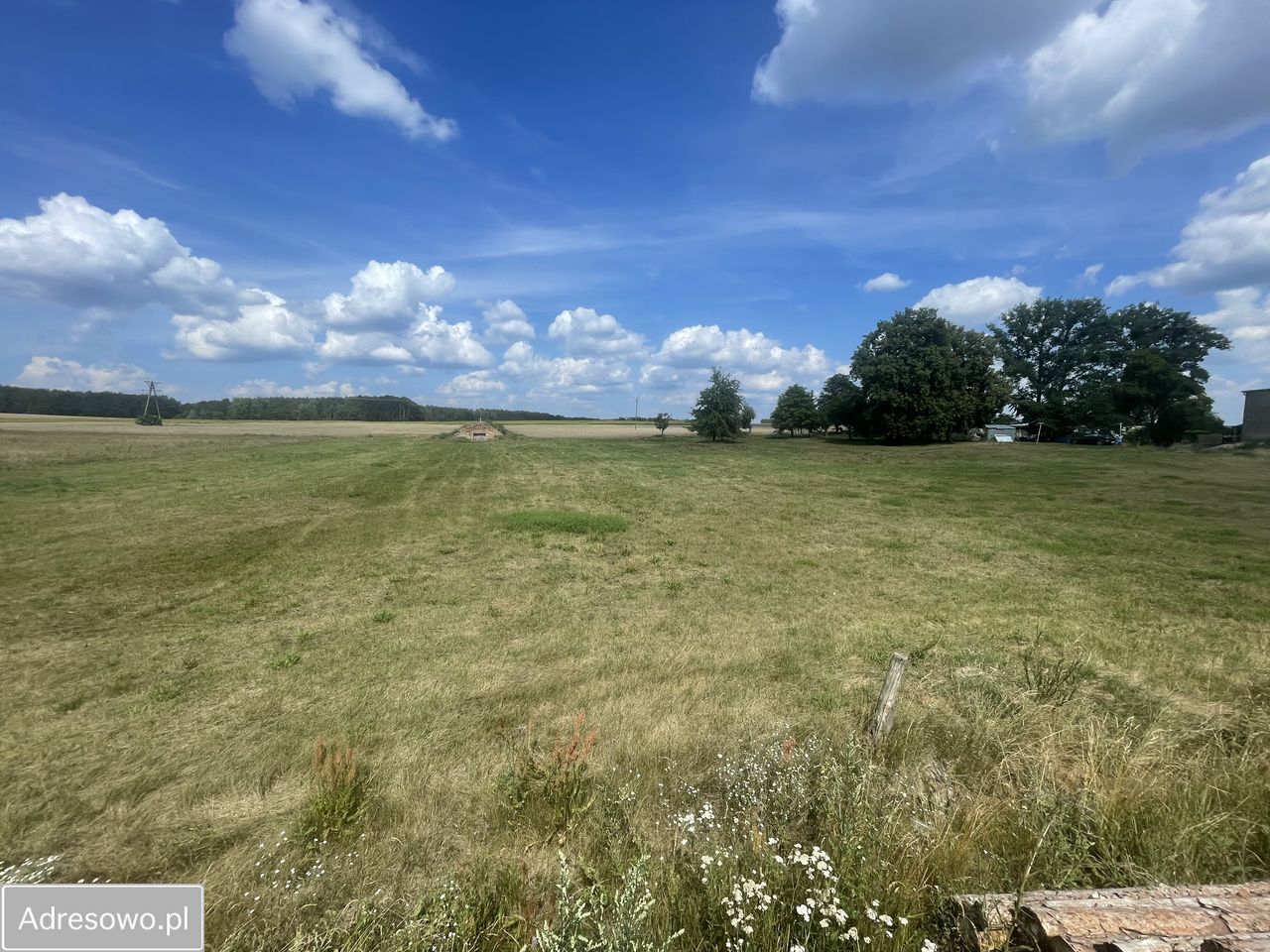 Działka budowlana Chełmsko