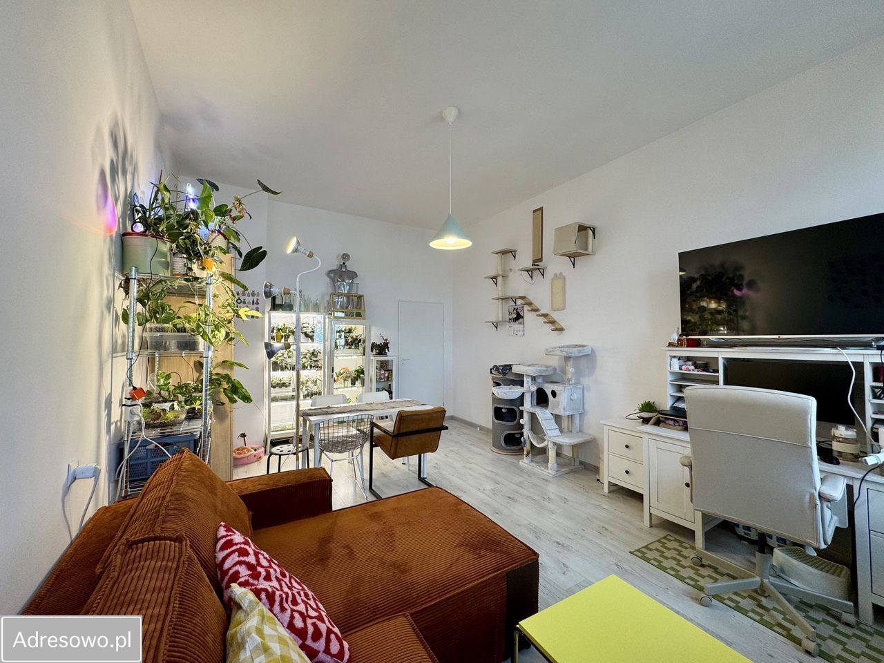 Mieszkanie 2-pokojowe Wrocław Śródmieście, pl. gen. Józefa Bema. Zdjęcie 13