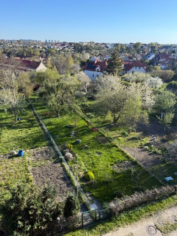 Działka rod Gdańsk Siedlce, ul. Taborowa. Zdjęcie 1