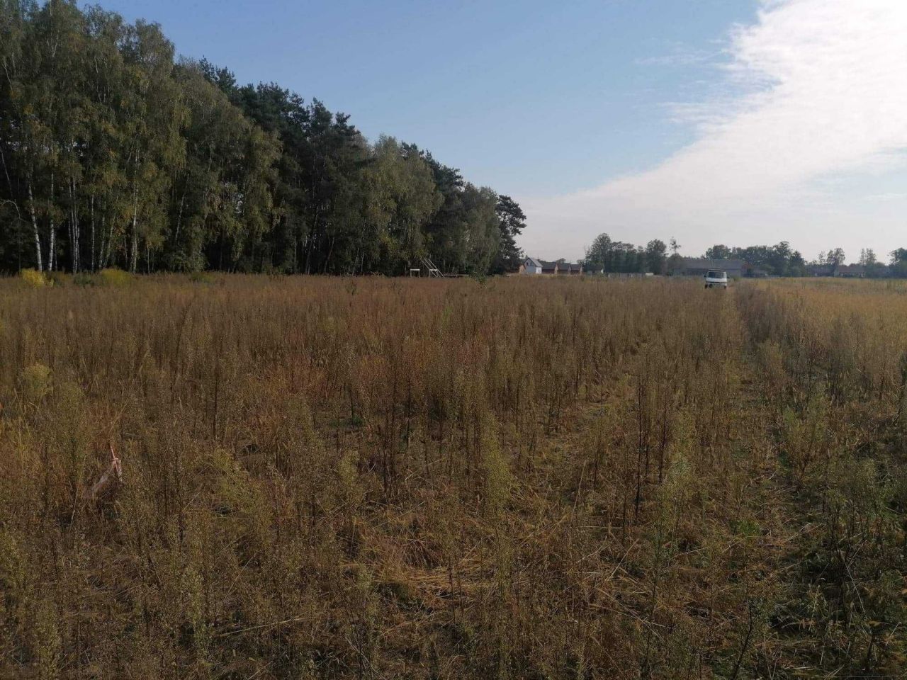 Działka rolno-budowlana Józefowo. Zdjęcie 7
