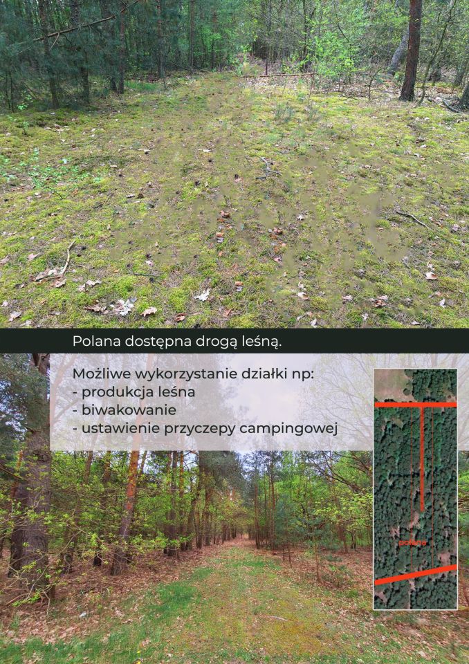 Działka leśna Nowa Wieś-Śladów. Zdjęcie 3