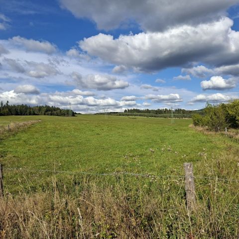 Działka rolna Jabłów. Zdjęcie 1