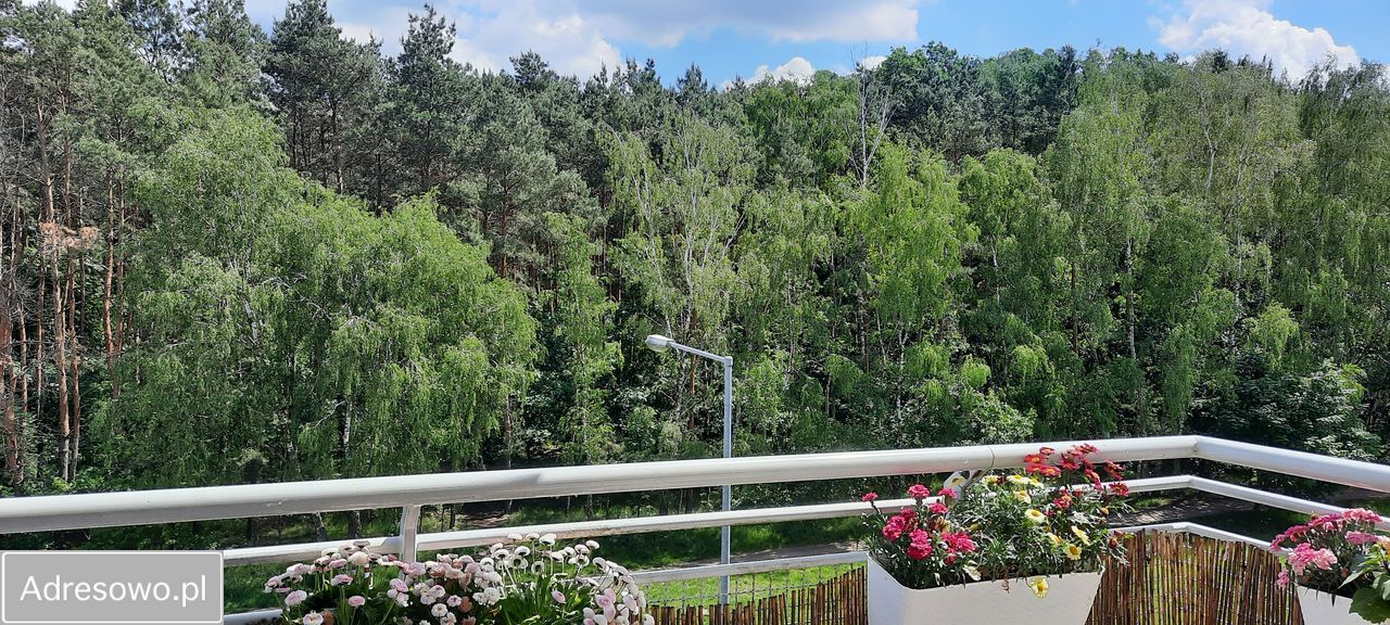 Mieszkanie 2-pokojowe Warszawa Bródno, ul. św. Wincentego. Zdjęcie 16