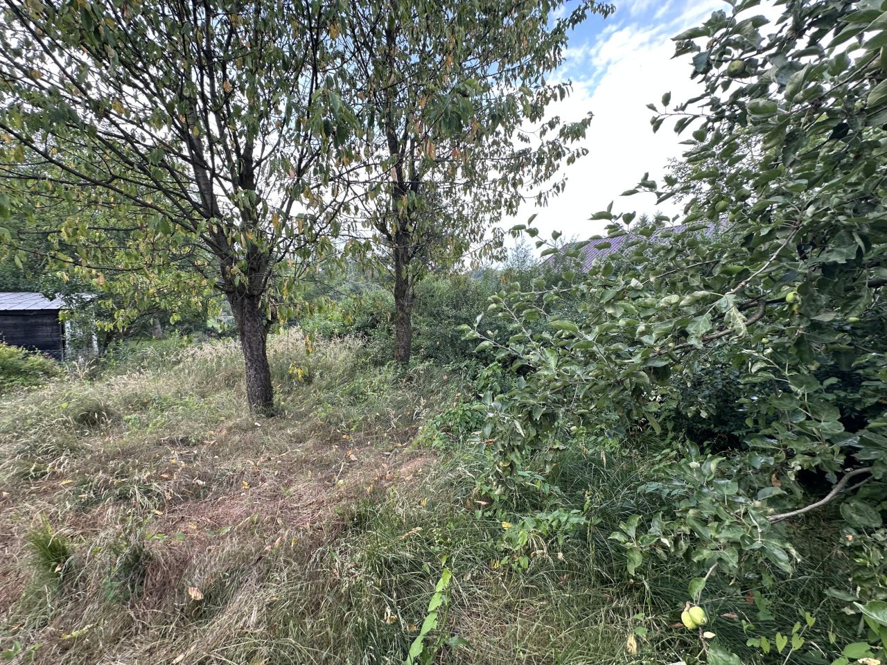 Działka rod Tarnów Mościce, ul. Azotowa. Zdjęcie 9