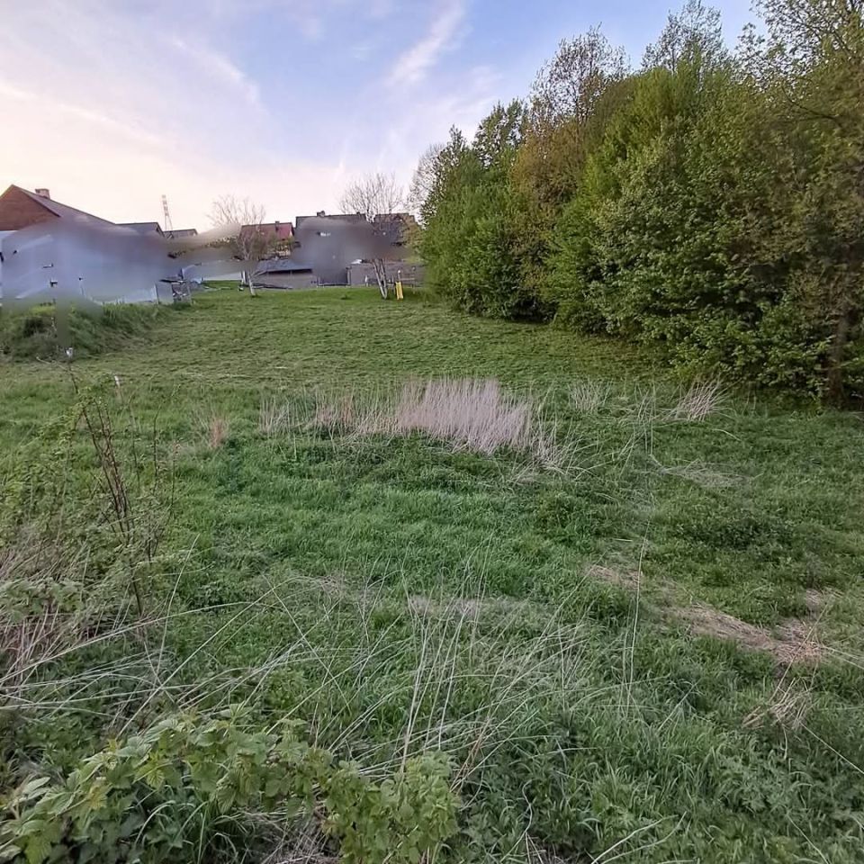 Działka budowlana Korzenna. Zdjęcie 3