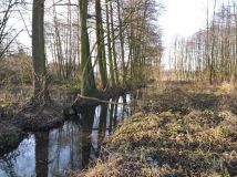 Działka rolno-budowlana Rzeczyca, ul. Łąkowa. Zdjęcie 2